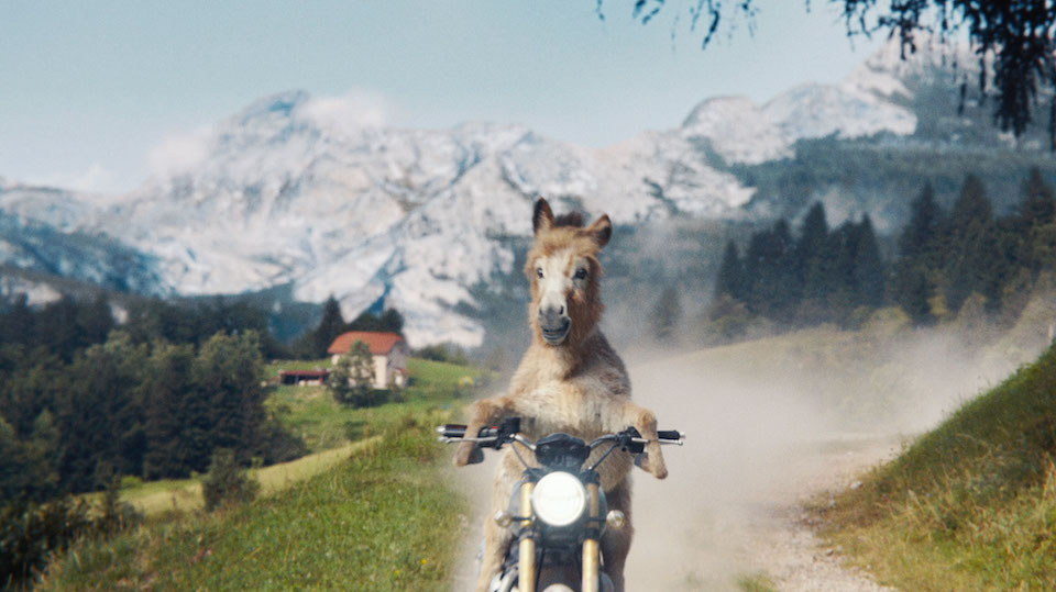 Donkey on a Chopper Will Kickstart Your Heart Image